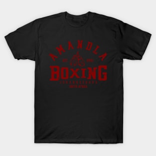 Amandla Boxing 3.0 T-Shirt